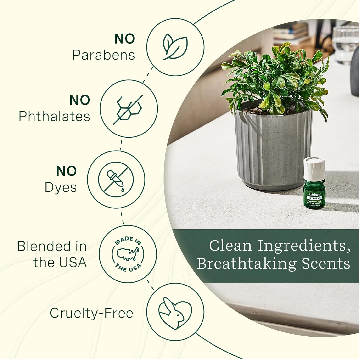 Clickwick: Citrus Grove (3-Pack)