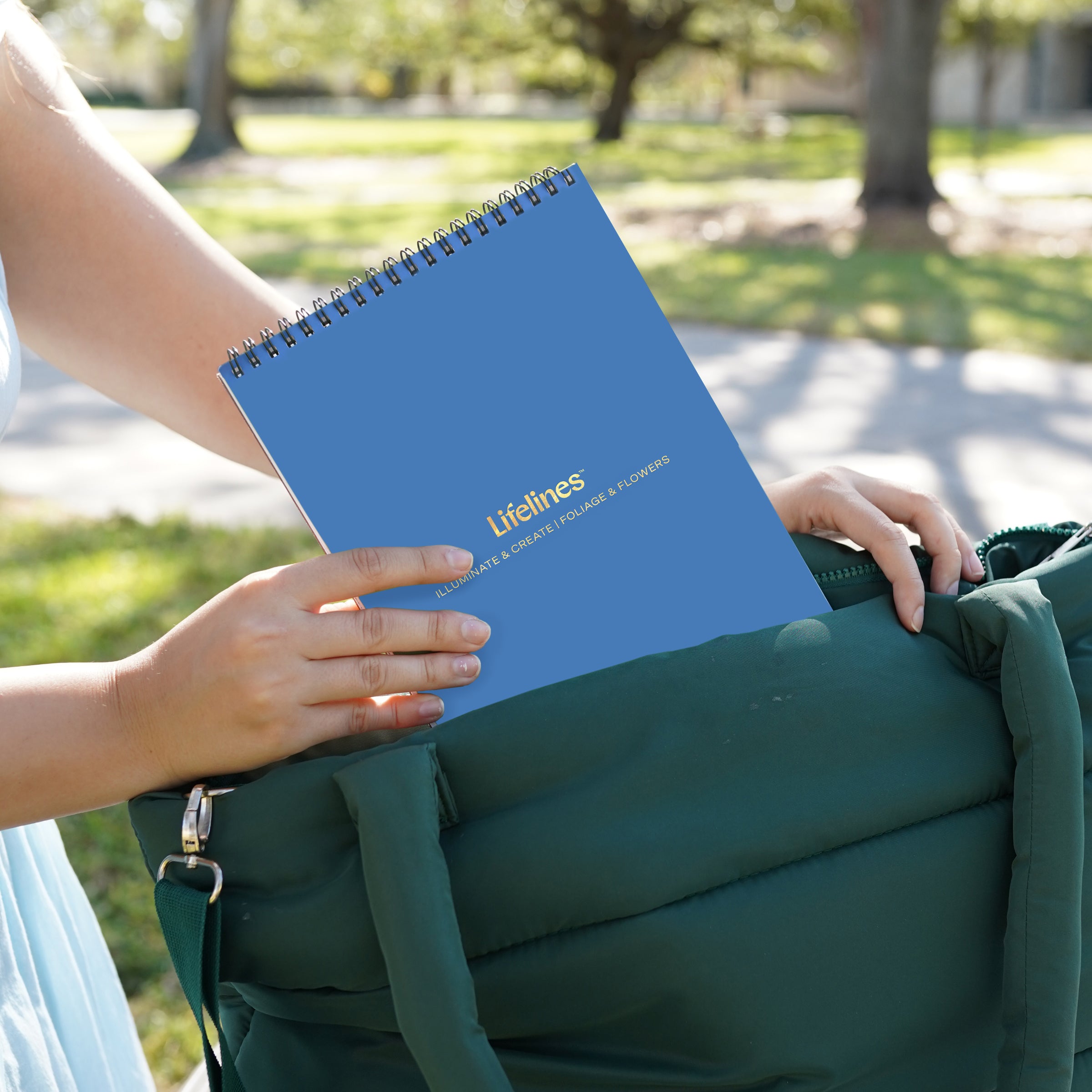 FlowArt® - Illuminate & Create, Foliage and Flowers