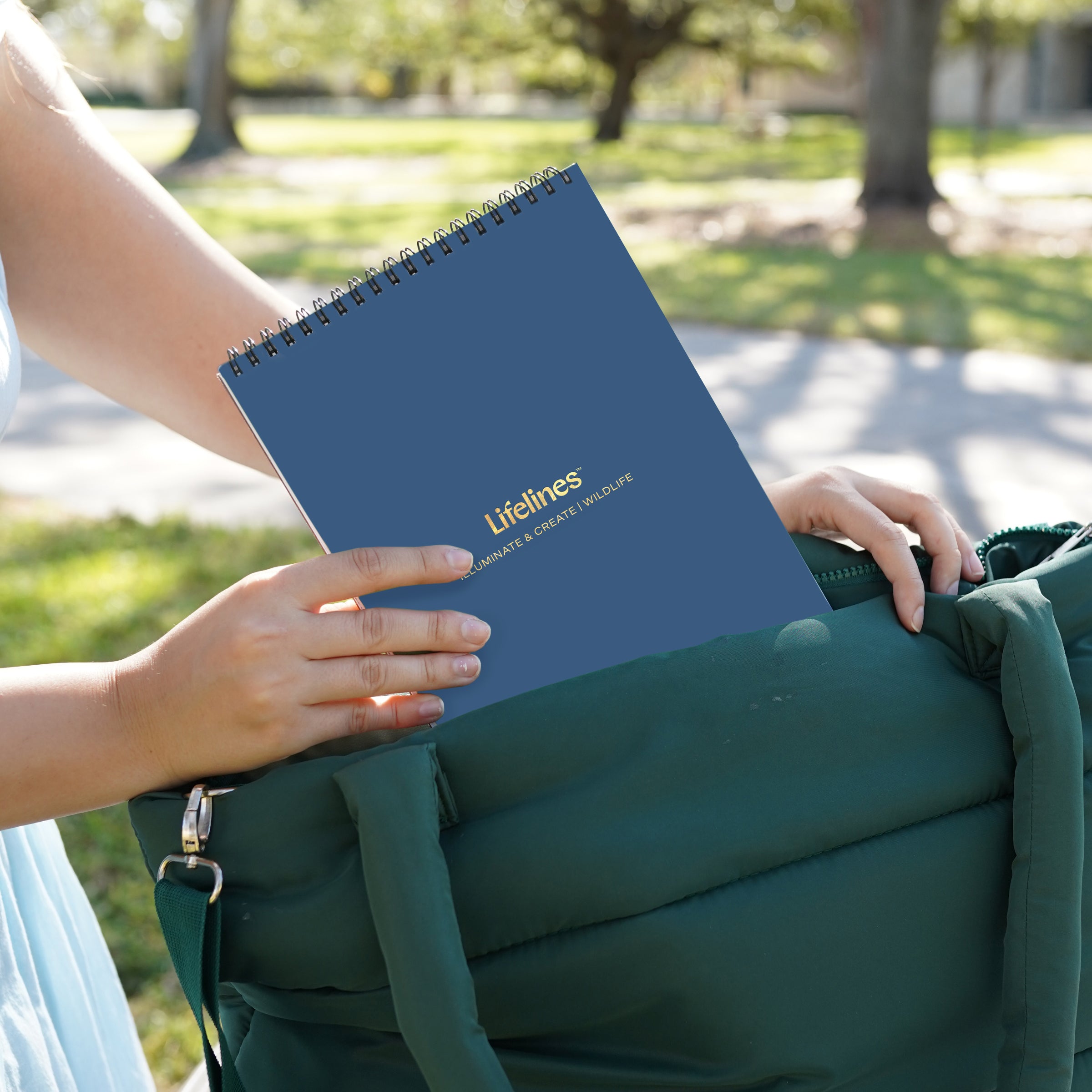 FlowArt® - Illuminate & Create, Wildlife